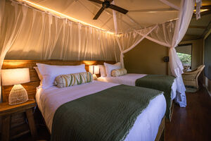 Family Tent